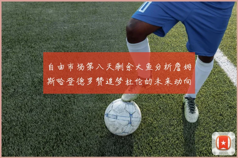自由市场第八天剩余大鱼分析詹姆斯哈登德罗赞追梦杜伦的未来动向